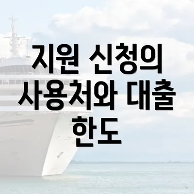 지원 신청의 사용처와 대출 한도