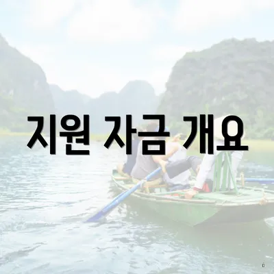 지원 자금 개요