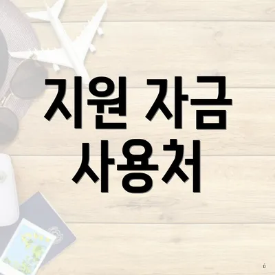 지원 자금 사용처