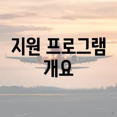 지원 프로그램 개요