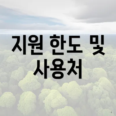 지원 한도 및 사용처