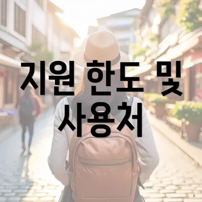 지원 한도 및 사용처