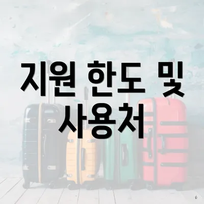 지원 한도 및 사용처