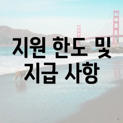 지원 한도 및 지급 사항