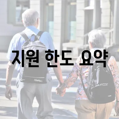 지원 한도 요약