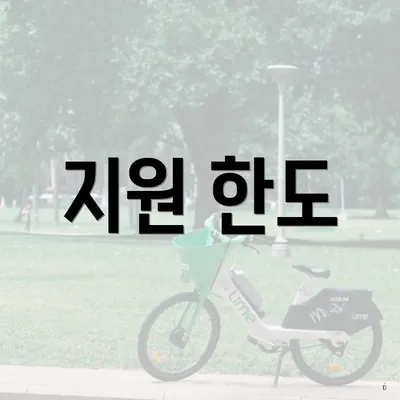 지원 한도