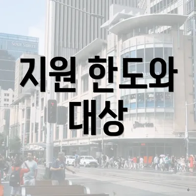 지원 한도와 대상