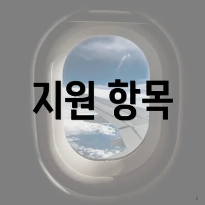지원 항목