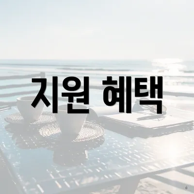 지원 혜택