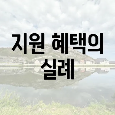 지원 혜택의 실례