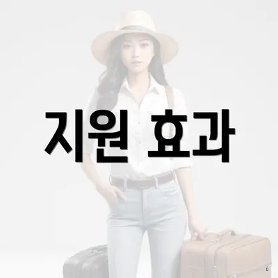 지원 효과