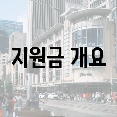 지원금 개요
