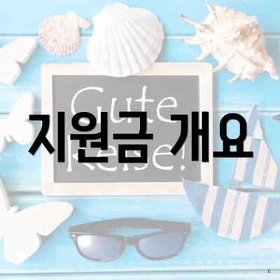 지원금 개요