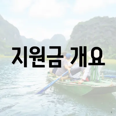 지원금 개요