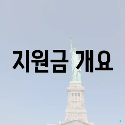 지원금 개요
