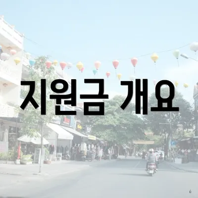 지원금 개요
