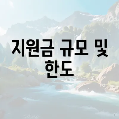 지원금 규모 및 한도