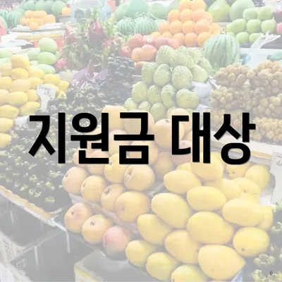 지원금 대상