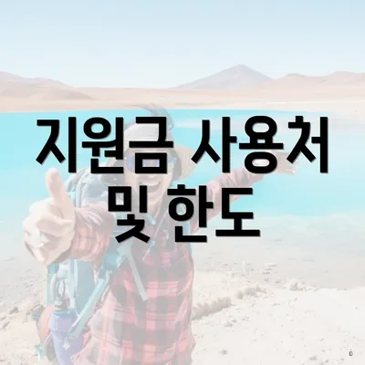 지원금 사용처 및 한도