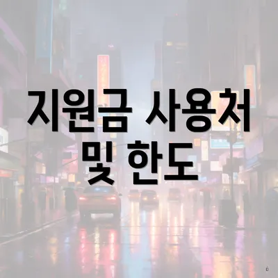 지원금 사용처 및 한도