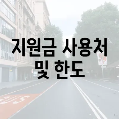 지원금 사용처 및 한도