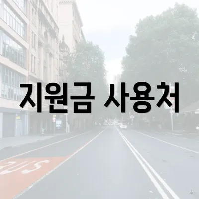 지원금 사용처