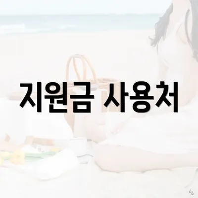 지원금 사용처