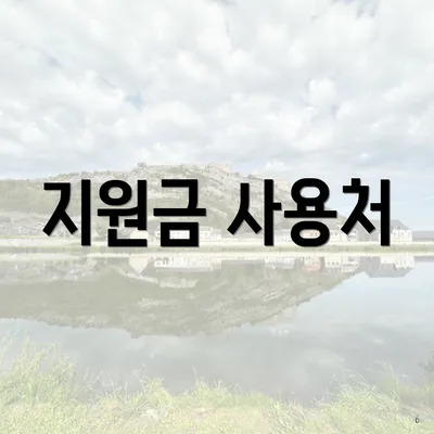 지원금 사용처
