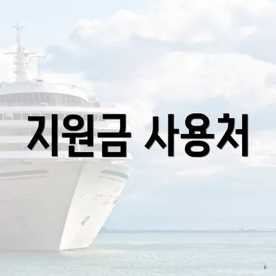 지원금 사용처