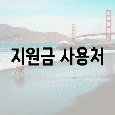 지원금 사용처