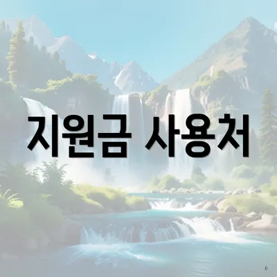 지원금 사용처