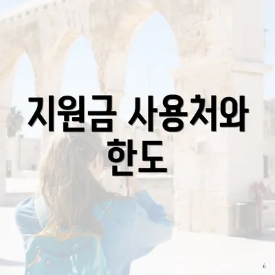 지원금 사용처와 한도