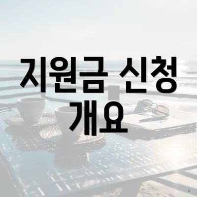 지원금 신청 개요