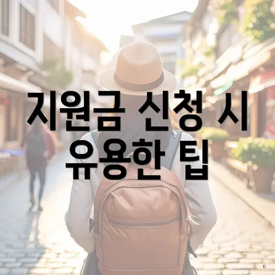 지원금 신청 시 유용한 팁