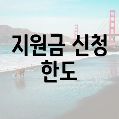 지원금 신청 한도