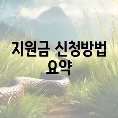 지원금 신청방법 요약
