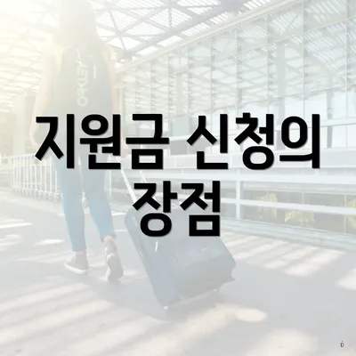 지원금 신청의 장점