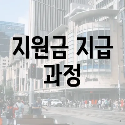지원금 지급 과정