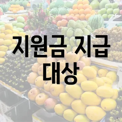 지원금 지급 대상