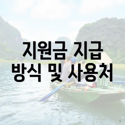 지원금 지급 방식 및 사용처