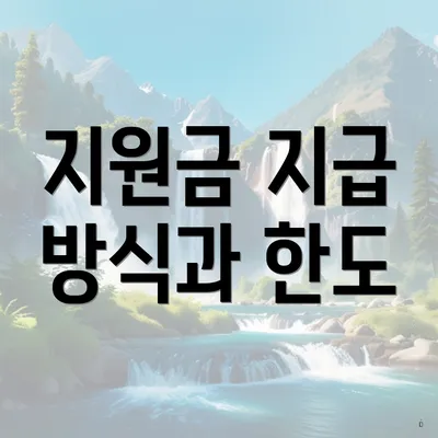 지원금 지급 방식과 한도
