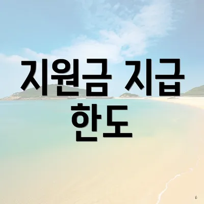 지원금 지급 한도