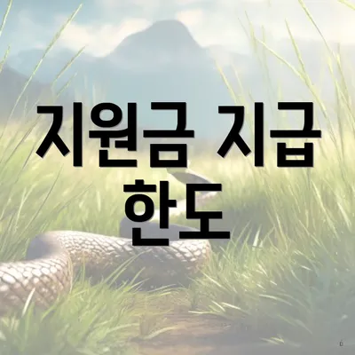 지원금 지급 한도