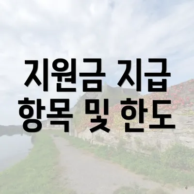 지원금 지급 항목 및 한도