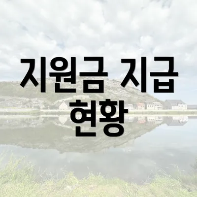 지원금 지급 현황