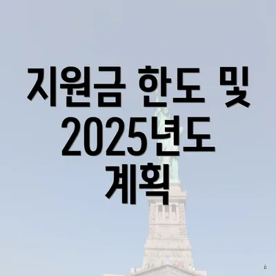 지원금 한도 및 2025년도 계획