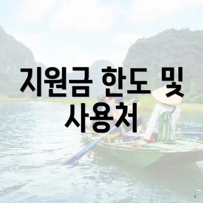 지원금 한도 및 사용처