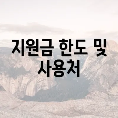 지원금 한도 및 사용처