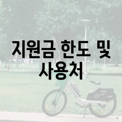 지원금 한도 및 사용처