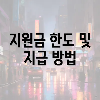 지원금 한도 및 지급 방법